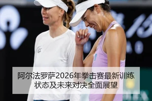 阿尔法罗萨2026年拳击赛最新训练状态及未来对决全面展望